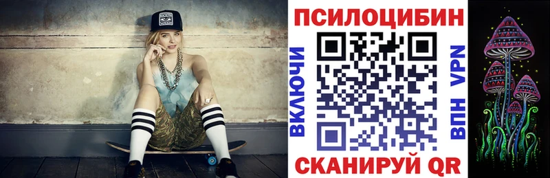Псилоцибиновые грибы мухоморы mega Почеп где купить наркоту